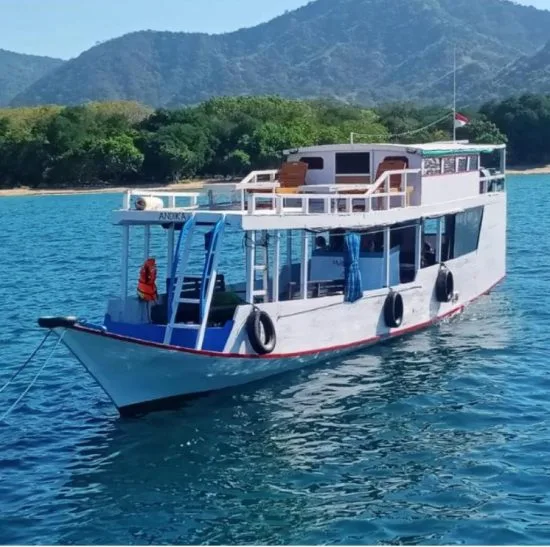 Day Trip Komodo Island