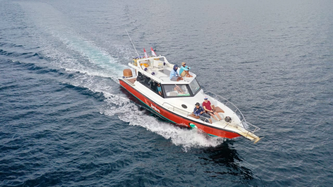 Sewa Speedboat Labuan Bajo Athena